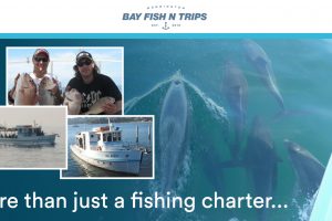 fb_bay_fishntrips_1200x628_2