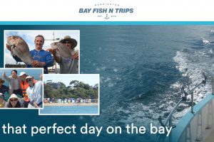 fb_bay_fishntrips_1200x628_3