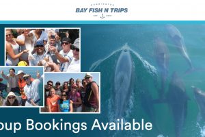 fb_bay_fishntrips_1200x628_8