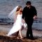 Wedding Dresses & Suits