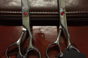 19884226_1926954490897138_5941409421346570510_n