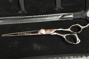 19959191_1926950410897546_772893275345644667_n