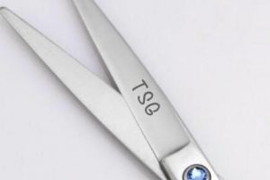 22405518_1966363226956264_3795912911003010726_n