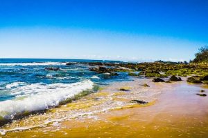 26232421_139182883433559_7266486515966516816_o