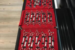 29432923_2041923439400242_489018559641419776_n