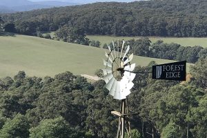 forest-edge-restaurant