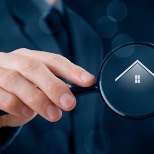 Peninsula-Vendoers-and-Buyers-Advocacy