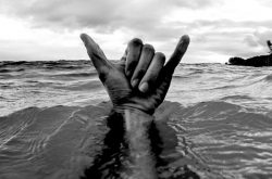 Dirty Lickings - Mornington Peninsula