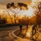 cycling-clubs-mornington-peninsula