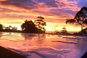 mornington-peninsula-yoga-classes