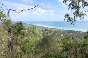 mornington-peninsula-yoga-studios