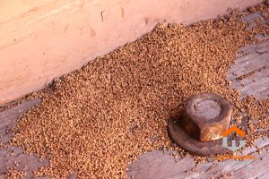 property-inspection-mornington-peninsula