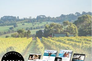 Mton-Web-Designers-Facebook-05