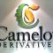 Office-Signage-Melbourne-Camelot