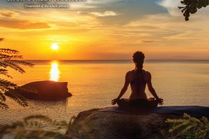 High-St-Holistic-Facebook-03