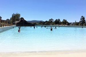 Commercial-Pools-Melbourne-2-640x480