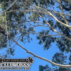 EG-Treeworks-Facebook-Hero