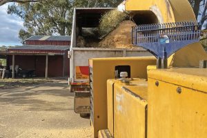 East-Gippsland-Tree-Works-5