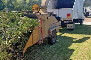 East-Gippsland-Tree-Works-7