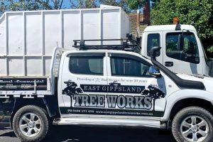 East-Gippsland-Tree-Works-8