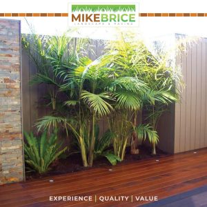 Photo 26-9-2022, 11 06 49 am