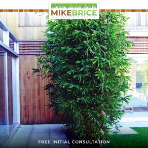 Photo 26-9-2022, 11 07 39 am