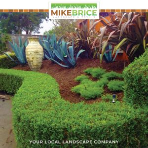 Photo 26-9-2022, 11 10 21 am