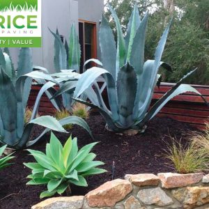 Photo 26-9-2022, 11 11 25 am