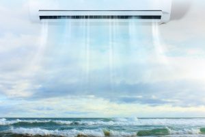 Photo 22-12-2022, 1 57 53 pm