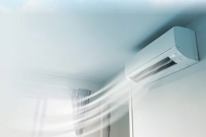 Photo 22-12-2022, 1 58 49 pm