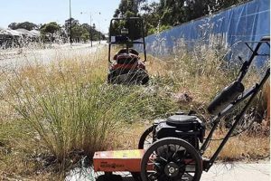 324508693_5943279299067069_4696334742924829759_n