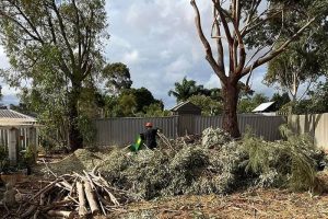 326063894_857232682060748_1747837268374988298_n