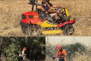 329549692_544689907670308_1572476528724073615_n