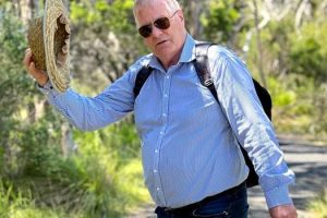 332516100_597762778442294_3085923143932919851_n