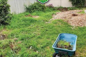 Advanced-Landscaping-Facebook-7