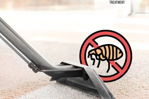 Stuart-Facebook-Ad-10 (new) - Copy - Copy