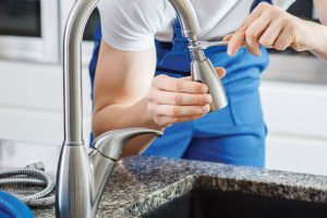 Photo 18-5-2023, 11 56 28 am - Copy