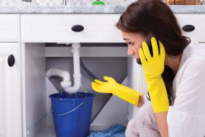 Photo 18-5-2023, 11 57 39 am