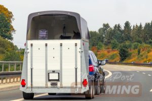 Horse-Float-Canopies-Mornington-Peninsula