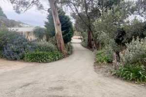 Excavation for Driveways Peninsula