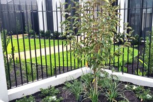 Affordable Landscapers