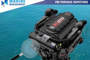 Photo 28-7-2025, 10 19 28 am