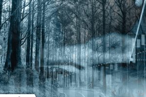 Photo 12-8-2025, 11 09 54 am