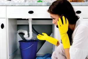 Photo 19-8-2025, 9 52 43 am