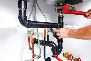 Photo 19-8-2025, 9 53 25 am