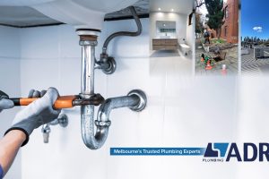 Photo 19-8-2025, 9 55 15 am